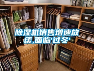企業(yè)新聞除濕機銷售增速放緩,面臨'過冬'