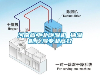 常見問題河南省工業(yè)除濕機 抽濕機,除濕專業(yè)高效