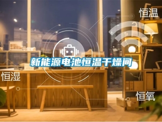 知識(shí)百科新能源電池恒溫干燥間