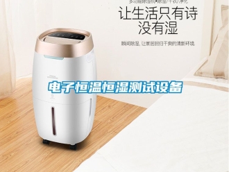 知識百科電子恒溫恒濕測試設備