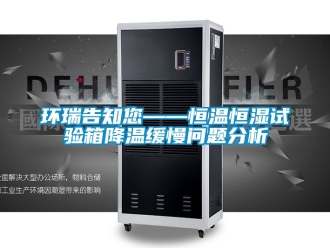 知識(shí)百科環(huán)瑞告知您——恒溫恒濕試驗(yàn)箱降溫緩慢問(wèn)題分析
