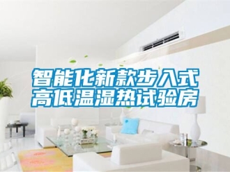 常見問題智能化新款步入式高低溫濕熱試驗房