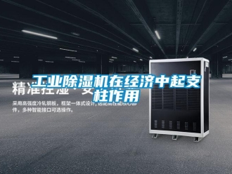 企業(yè)新聞工業(yè)除濕機在經(jīng)濟中起支柱作用