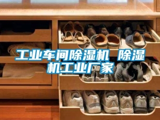 企業(yè)新聞工業(yè)車間除濕機(jī) 除濕機(jī)工業(yè)廠家