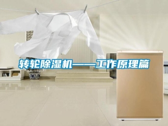 知識(shí)百科轉(zhuǎn)輪除濕機(jī)——工作原理篇