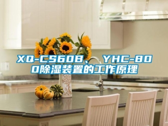 企業(yè)新聞XQ-CS60B、 YHC-800除濕裝置的工作原理