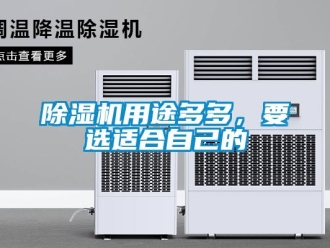 企業(yè)新聞除濕機(jī)用途多多，要選適合自己的
