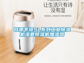 常見問題甘肅平涼SL系列工業除濕機濕菱除濕機加濕器
