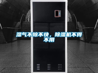 知識百科濕氣不除不快，除濕機不得不用