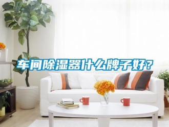 企業(yè)新聞車間除濕器什么牌子好？