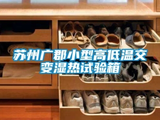 常見問題蘇州廣郡小型高低溫交變濕熱試驗箱