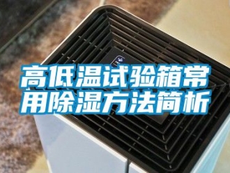 常見問題高低溫試驗(yàn)箱常用除濕方法簡(jiǎn)析