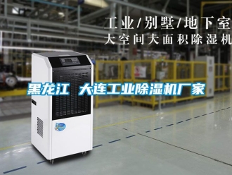 企業新聞黑龍江 大連工業除濕機廠家