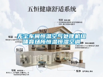知識(shí)百科無塵車間恒溫空氣處理機(jī)組體育場所恒溫恒濕空調(diào)