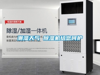 企業新聞潮濕天氣 除濕機給您呵護