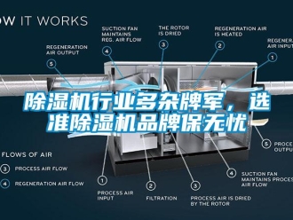 企業(yè)新聞除濕機(jī)行業(yè)多雜牌軍，選準(zhǔn)除濕機(jī)品牌保無憂