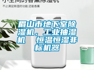 常見問題眉山市地下室除濕機(jī)，工業(yè)抽濕機(jī)  恒溫恒濕非標(biāo)機(jī)器