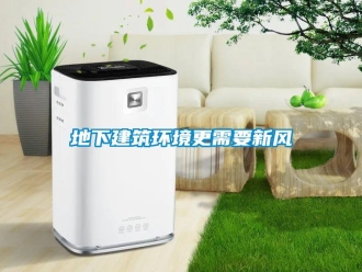企業(yè)新聞地下建筑環(huán)境更需要新風(fēng)