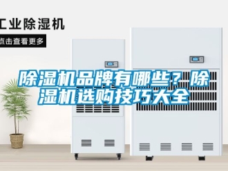 企業新聞除濕機品牌有哪些？除濕機選購技巧大全