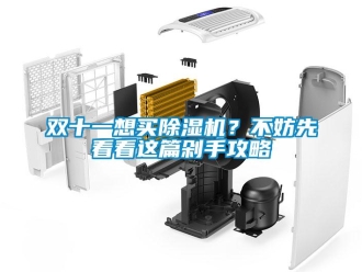 知識百科雙十一想買除濕機？不妨先看看這篇剁手攻略