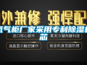 企業(yè)新聞氮氣柜廠家采用專利除濕機芯