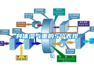知識百科身體濕氣重的5個(gè)表現(xiàn)