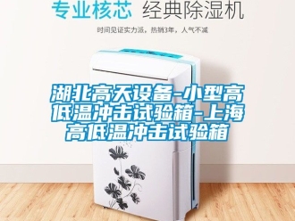 常見問題湖北高天設備-小型高低溫沖擊試驗箱-上海高低溫沖擊試驗箱