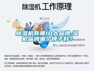企業新聞除濕機有哪10大品牌,濕機品牌哪個牌子好？