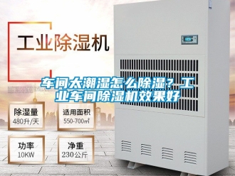 常見問題車間太潮濕怎么除濕？工業(yè)車間除濕機效果好