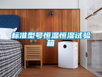 常見問題標準型號恒溫恒濕試驗箱
