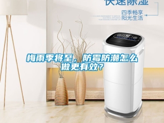 常見(jiàn)問(wèn)題梅雨季將至，防霉防潮怎么做更有效？