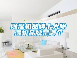 企業(yè)新聞除濕機(jī)品牌十大除濕機(jī)品牌是哪個(gè)