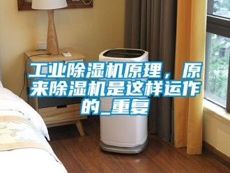 常見問題工業(yè)除濕機(jī)原理，原來除濕機(jī)是這樣運(yùn)作的_重復(fù)