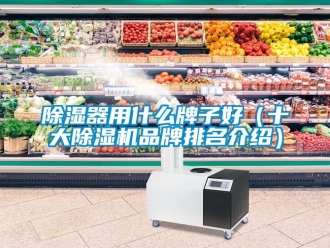 企業(yè)新聞除濕器用什么牌子好（十大除濕機(jī)品牌排名介紹）