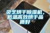靈芝烘干除濕機，低溫高效烘干品質好