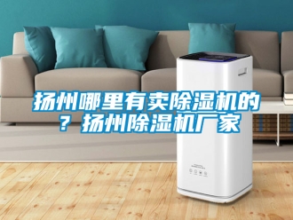 企業新聞揚州哪里有賣除濕機的？揚州除濕機廠家