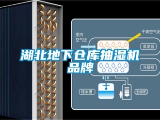 企業(yè)新聞湖北地下倉(cāng)庫(kù)抽濕機(jī)品牌