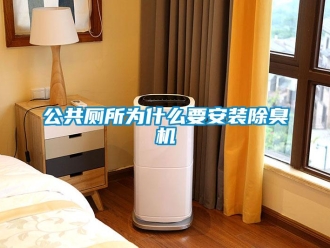 企業新聞公共廁所為什么要安裝除臭機