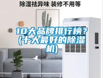 企業新聞10大品牌排行榜？(十大最好的除濕機)