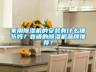 企業新聞家用除濕機的安裝有什么細節嗎？靠譜的除濕機品牌推薦？