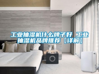 企業(yè)新聞工業(yè)抽濕機(jī)什么牌子好 工業(yè)抽濕機(jī)品牌推薦【詳解】