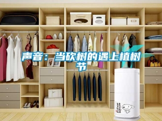 知識百科聲音：當砍樹的遇上植樹節(jié)