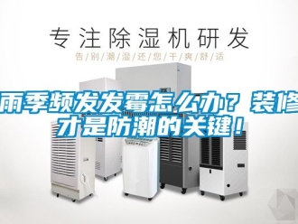 常見問題雨季頻發發霉怎么辦？裝修才是防潮的關鍵！