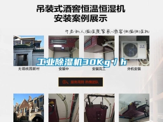 企業新聞工業除濕機30Kg／h