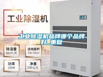 常見問(wèn)題工業(yè)除濕機(jī)品牌哪個(gè)品牌好_重復(fù)