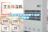 工業除濕機品牌哪個品牌好_重復