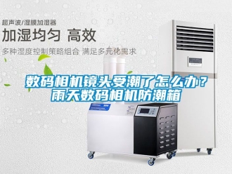 常見問題數碼相機鏡頭受潮了怎么辦？雨天數碼相機防潮箱