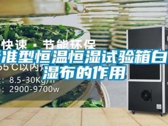 常見問題標準型恒溫恒濕試驗箱白色濕布的作用