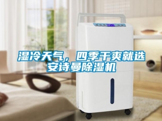 企業新聞濕冷天氣，四季干爽就選安詩曼除濕機