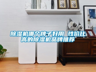 企業(yè)新聞除濕機(jī)哪個(gè)牌子好用 性價(jià)比高的除濕機(jī)品牌推薦
